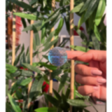 Iridescent holographic label finish under changing light