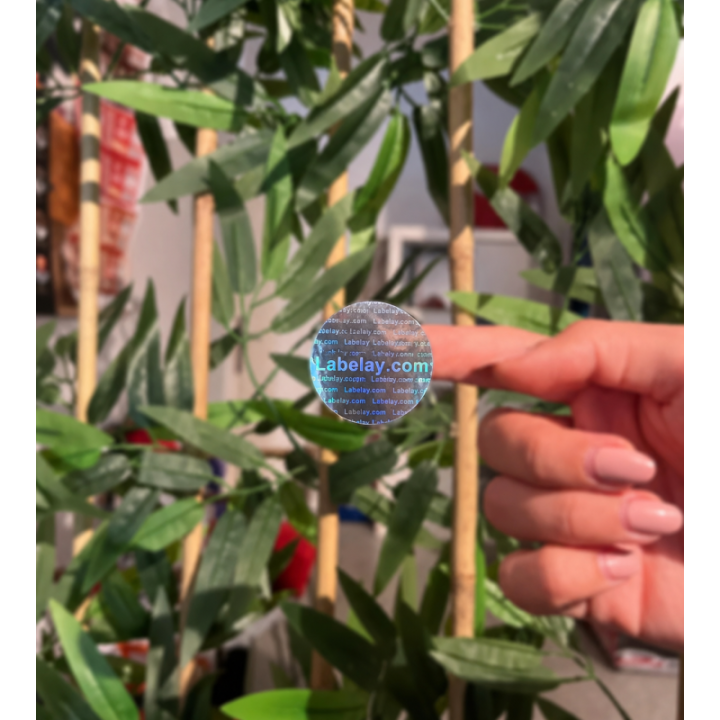 Iridescent holographic label finish under changing light